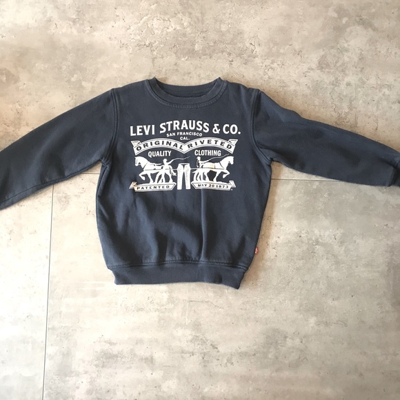 LEVÎS Hoodie - Picture 1 of 5